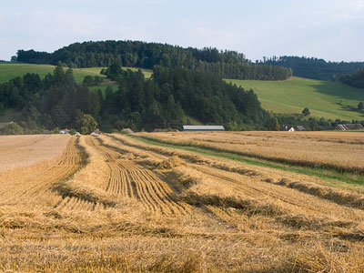 Harvest Time Harvest Time