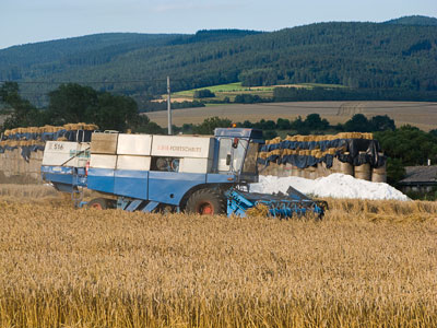 Harvest Time Harvest Time