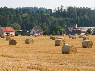 harvest time outline