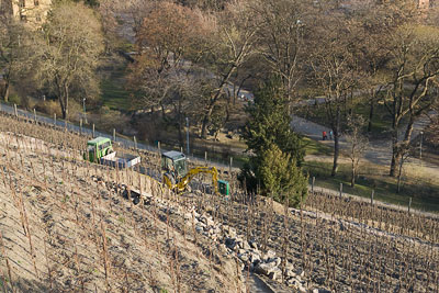 Havlickovy sady vineyard Havlickovy sady vineyard